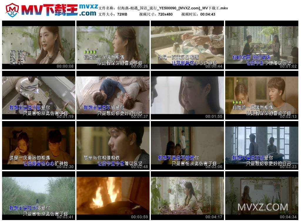 付海燕-相遇_国语_流行_YE500090